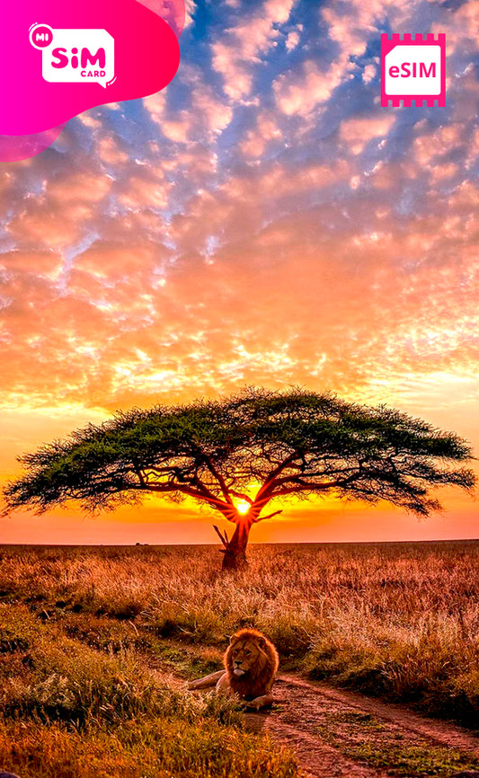 Africa eSIM